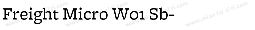 Freight Micro W01 Sb字体转换